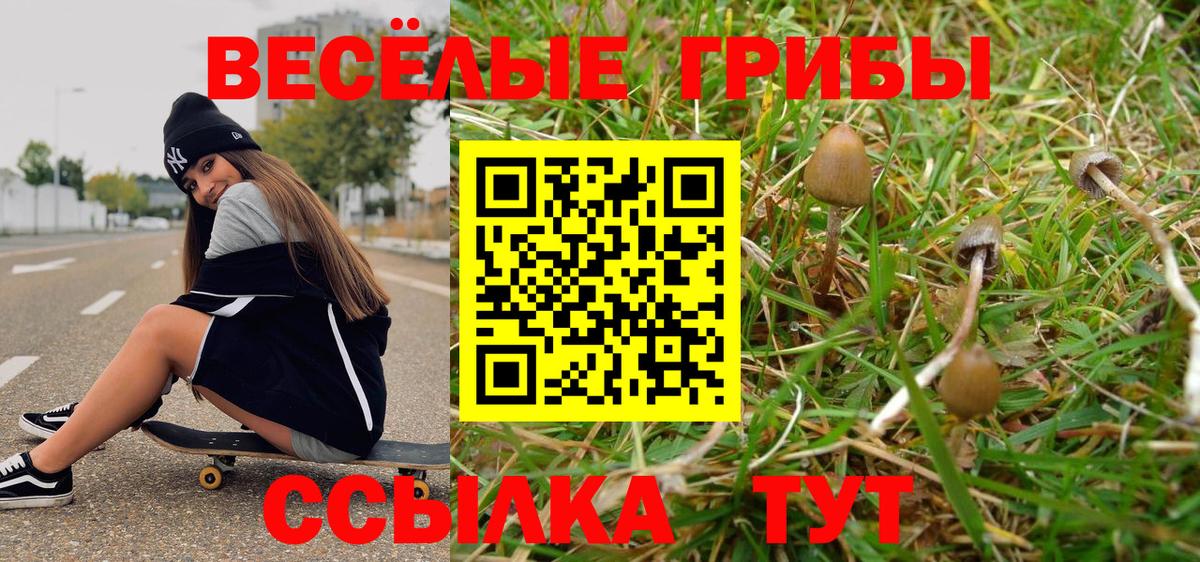 Галлюциногенные грибы Magic Shrooms Ростов Великий