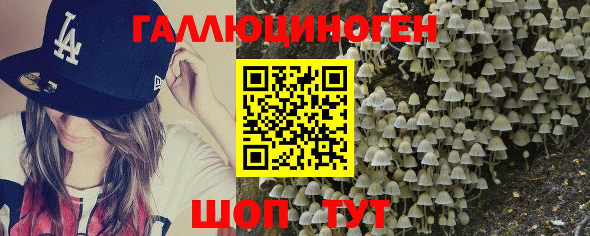 Псилоцибиновые грибы мухоморы  Вход с VPN  Ростов Великий  Псилоцибиновые грибы Psilocybe 